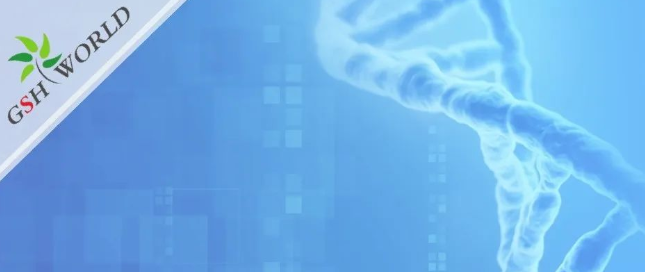 行業關注 - 風靡美國的輔酶Q10到底要不要吃？吃多少合適？