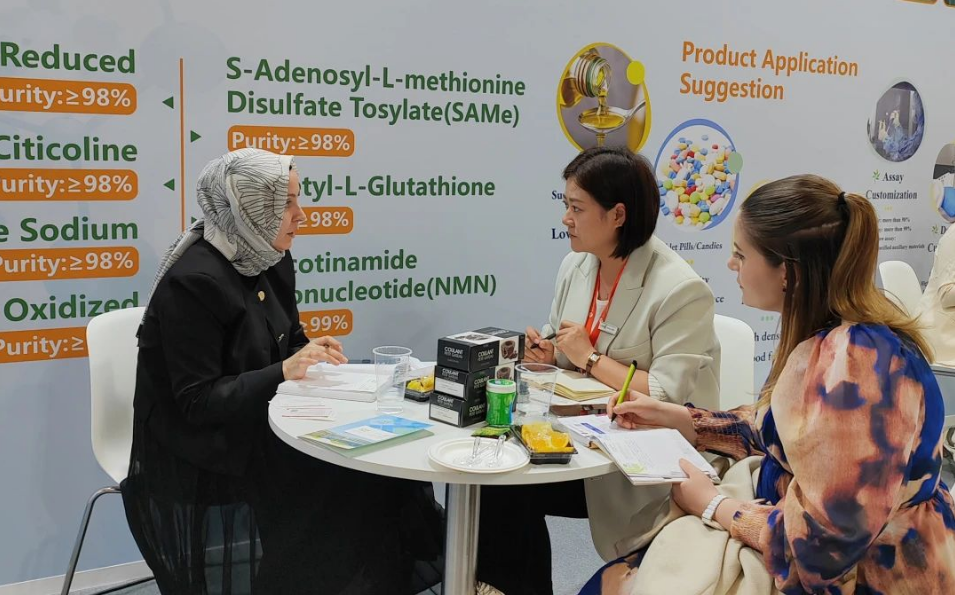 展會現場為客戶介紹公司產品