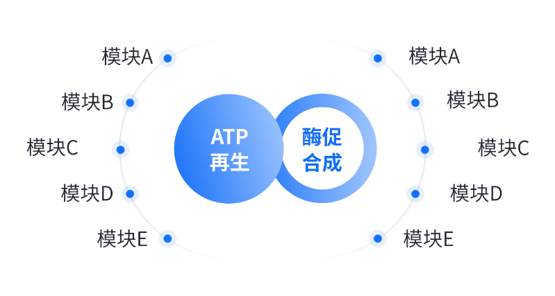 酶法生產應用領域