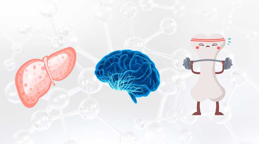 或可改善肝功能指標