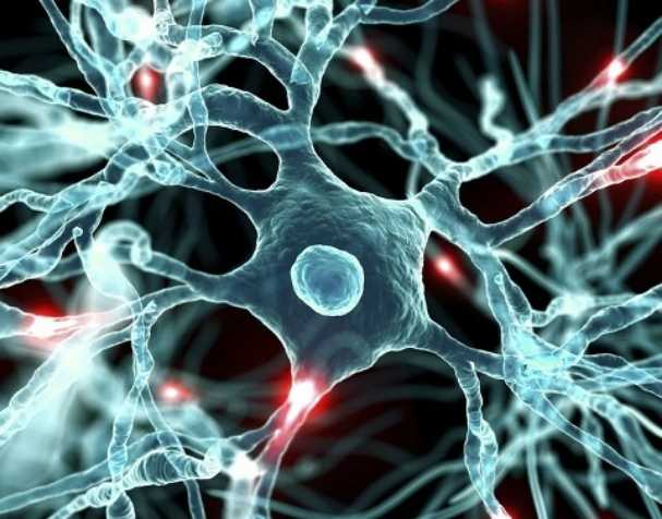 胞磷膽堿對大腦健康的顯著益處