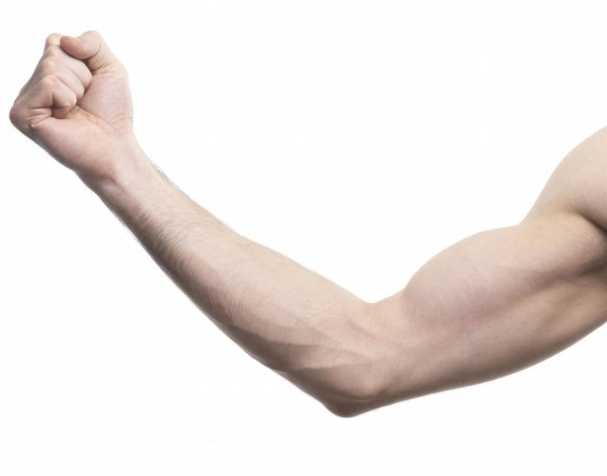 助肌肉功能維護