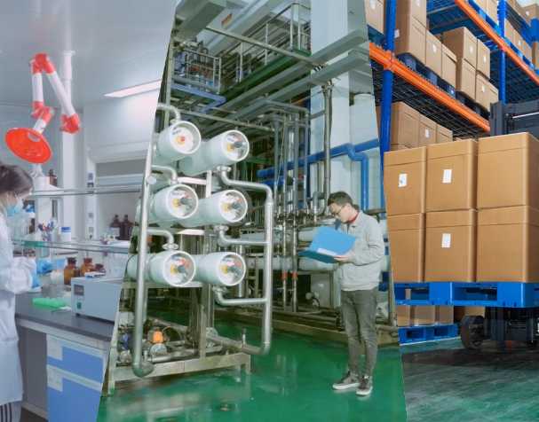 酶法催化賦能：古特生物技術創新與產業化實踐