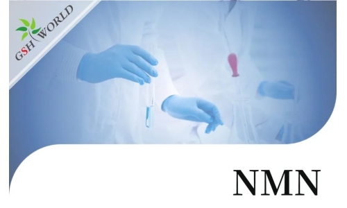行業(yè)關(guān)注 - NMN的保健功能與最新研究進(jìn)展