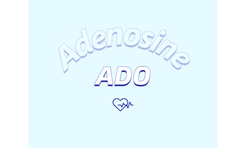 腺苷如何抗皮膚衰老？